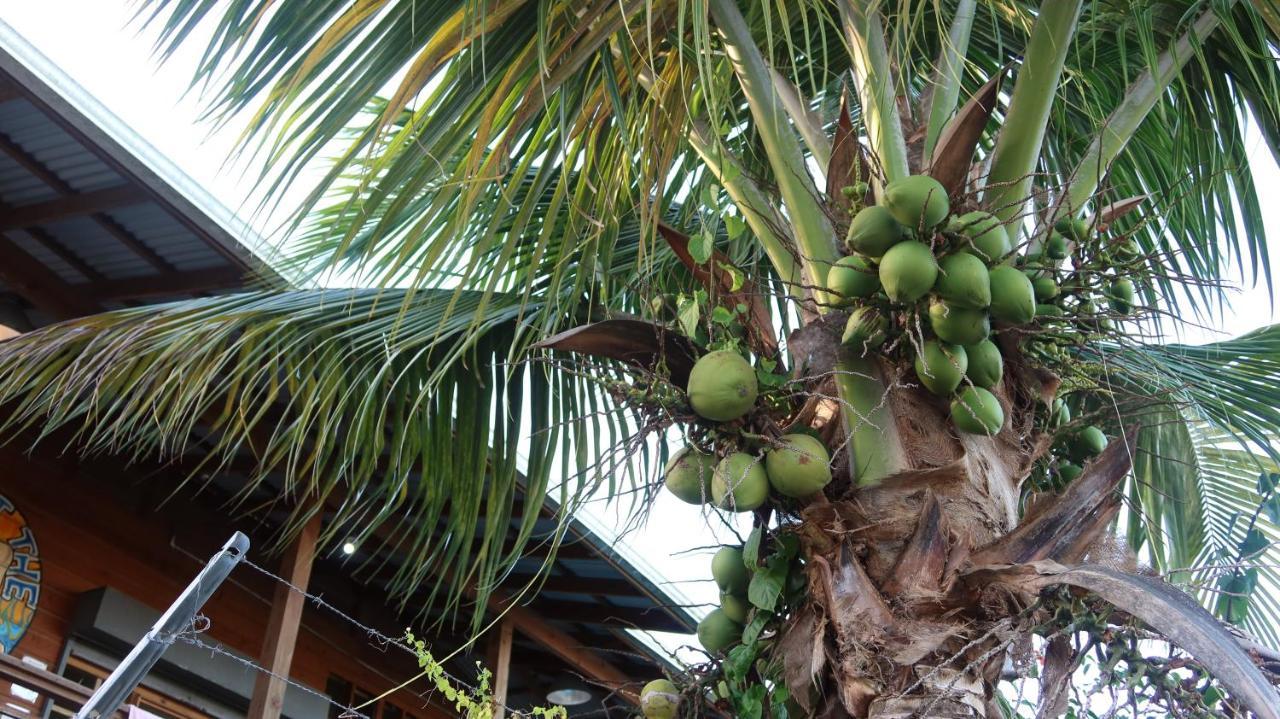 The Bocas Corner Hotel Bocas Town Luaran gambar